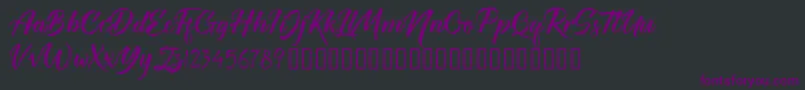 TheRedlightFree Font – Purple Fonts on Black Background