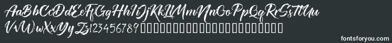 TheRedlightFree Font – White Fonts on Black Background
