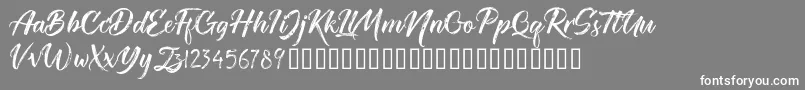 TheRedlightFree Font – White Fonts on Gray Background