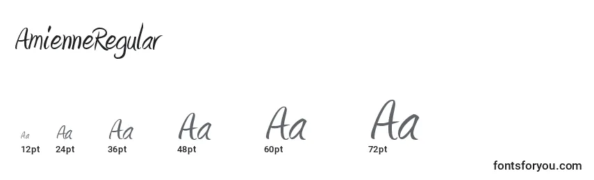 Размеры шрифта AmienneRegular