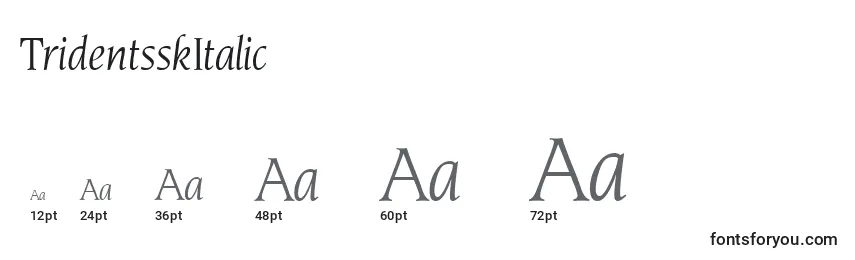 Размеры шрифта TridentsskItalic