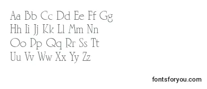 Обзор шрифта LinotypeRowenaLight