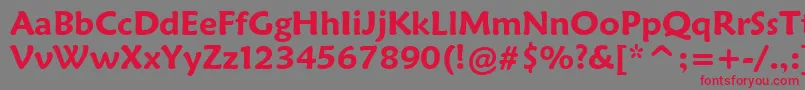 MaiandraGdDemiBold Font – Red Fonts on Gray Background