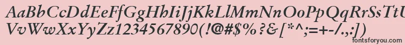 フォントStempelGaramondLtBoldItalic – ピンクの背景に黒い文字