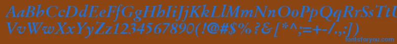 StempelGaramondLtBoldItalic Font – Blue Fonts on Brown Background