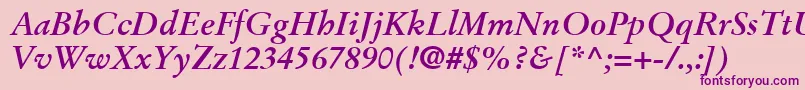 StempelGaramondLtBoldItalic Font – Purple Fonts on Pink Background