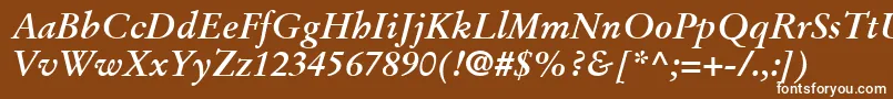 フォントStempelGaramondLtBoldItalic – 茶色の背景に白い文字