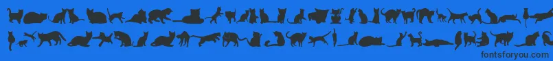 Czcionka KittyCatsTfb – czarne czcionki na niebieskim tle
