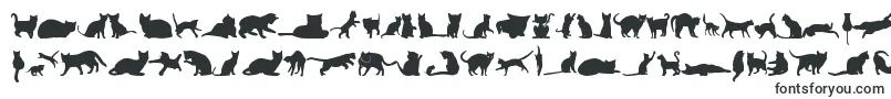 Шрифт KittyCatsTfb – шрифты для Discord