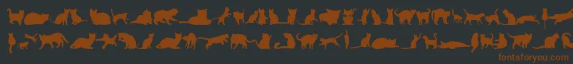 KittyCatsTfb Font – Brown Fonts on Black Background