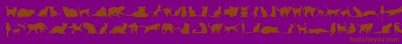 KittyCatsTfb-Schriftart – Braune Schriften auf violettem Hintergrund