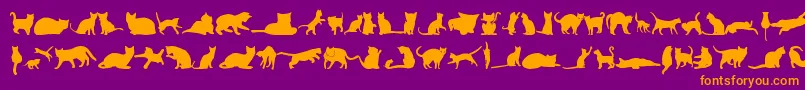 KittyCatsTfb Font – Orange Fonts on Purple Background