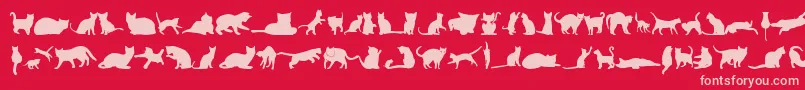 Police KittyCatsTfb – polices roses sur fond rouge