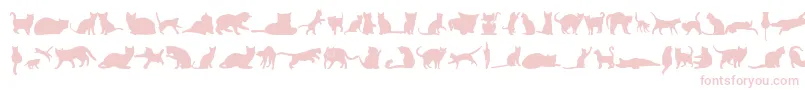 KittyCatsTfb-Schriftart – Rosa Schriften auf weißem Hintergrund