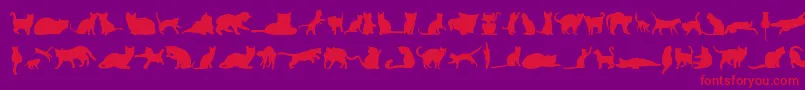 KittyCatsTfb-Schriftart – Rote Schriften auf violettem Hintergrund