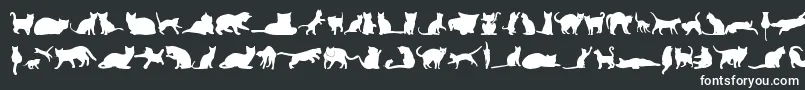 KittyCatsTfb-fontti – valkoiset fontit mustalla taustalla
