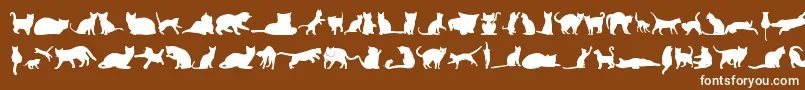 KittyCatsTfb-Schriftart – Weiße Schriften auf braunem Hintergrund
