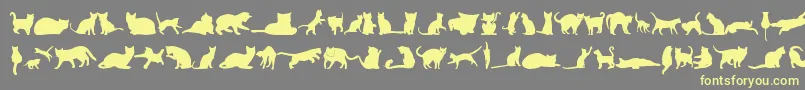 KittyCatsTfb Font – Yellow Fonts on Gray Background