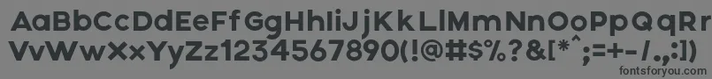 Czcionka Axis – czarne czcionki na szarym tle