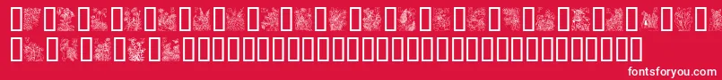 FlowerAndFairyAlphabet Font – White Fonts on Red Background