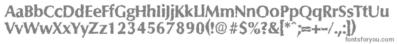 ColumbiarandomXboldRegular Font – Gray Fonts on White Background