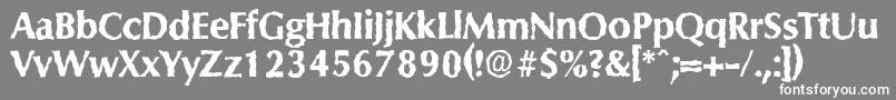 ColumbiarandomXboldRegular Font – White Fonts on Gray Background