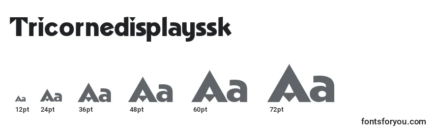 Tricornedisplayssk Font Sizes