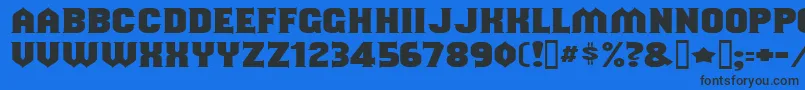 Shouldve Font – Black Fonts on Blue Background