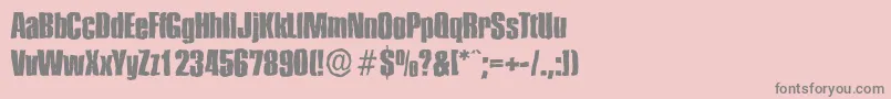 PlaketteantiqueXboldRegular Font – Gray Fonts on Pink Background