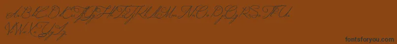 MysteriousElegance Font – Black Fonts on Brown Background