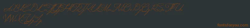 MysteriousElegance Font – Brown Fonts on Black Background