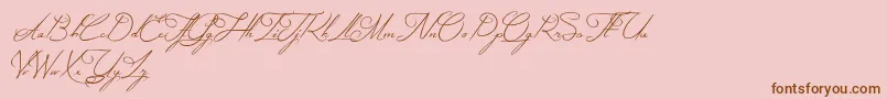 MysteriousElegance Font – Brown Fonts on Pink Background