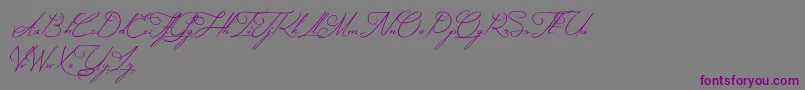 MysteriousElegance Font – Purple Fonts on Gray Background