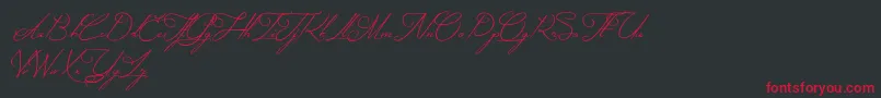 MysteriousElegance Font – Red Fonts on Black Background