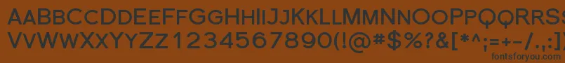 SfflorencesansscBold Font – Black Fonts on Brown Background