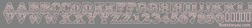 LmsDancingRagDolls Font – Pink Fonts on Gray Background