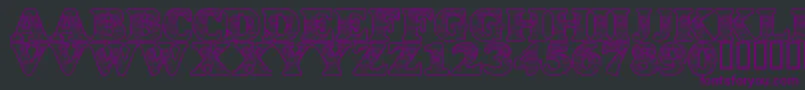 LmsDancingRagDolls Font – Purple Fonts on Black Background