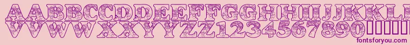 LmsDancingRagDolls Font – Purple Fonts on Pink Background