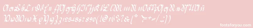 GreifswalderDeutsche Font – White Fonts on Pink Background