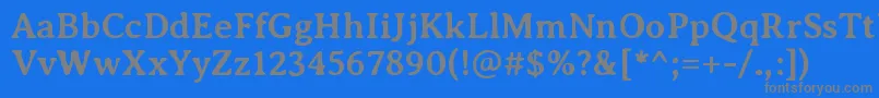 フォントAveriaseriflibreBold – 青い背景に灰色の文字