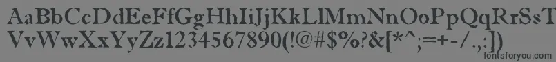 Antiqu5 Font – Black Fonts on Gray Background