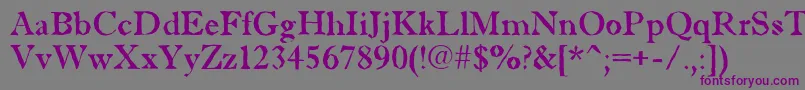 Шрифт Antiqu5 – фиолетовые шрифты на сером фоне