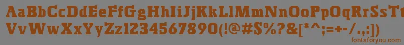 BoskoRegular Font – Brown Fonts on Gray Background