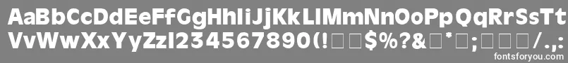 フォントCartesDisplaySsi – 灰色の背景に白い文字