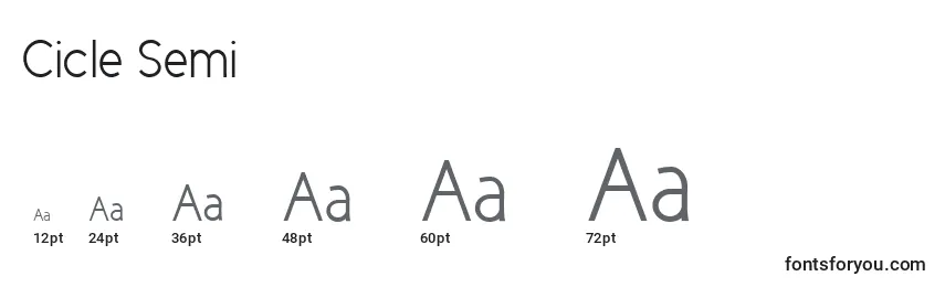 Cicle Semi Font Sizes