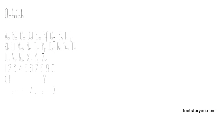 Шрифт Ostrich – алфавит, цифры, специальные символы