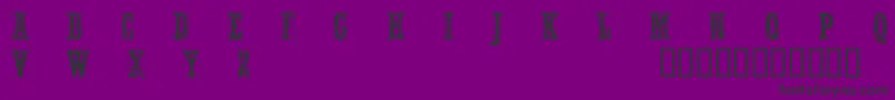 CfnelsonoldcaractersRegula-Schriftart – Schwarze Schriften auf violettem Hintergrund