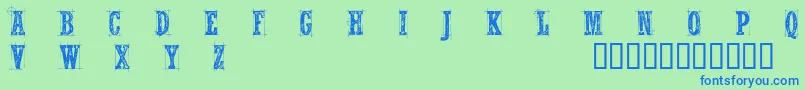 CfnelsonoldcaractersRegula Font – Blue Fonts on Green Background