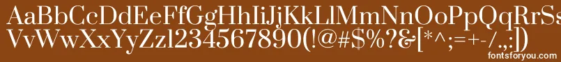 PrataRegular Font – White Fonts on Brown Background