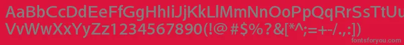 HeiseikakugostdW5 Font – Gray Fonts on Red Background